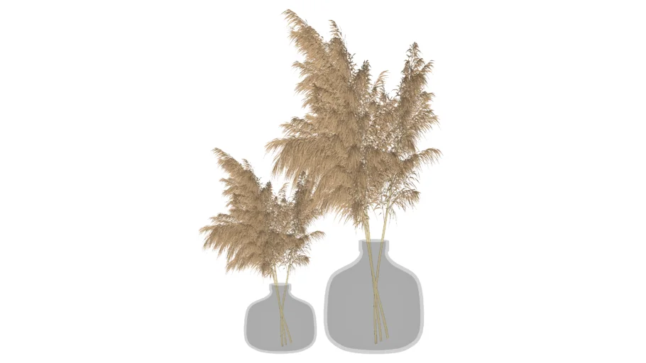 DECOR - Vasos com capim dos pampas