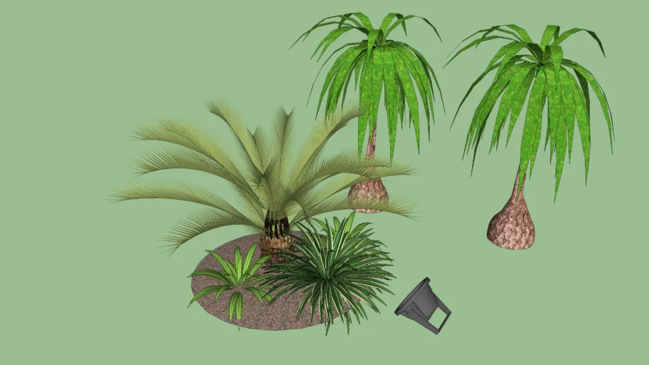 Vegetação jardim