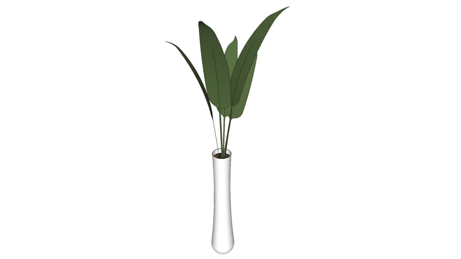 Plantas arranjos decorativos