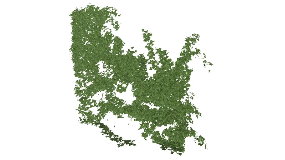 My 3D Ivy
