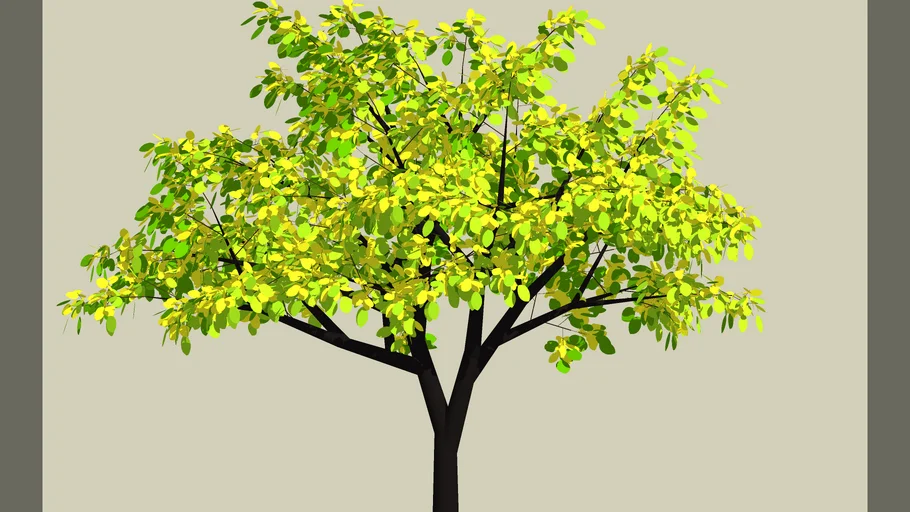 small broadleaf fall 3 | 3D Warehouse