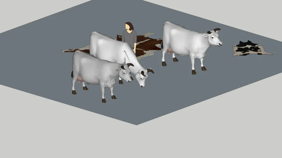 COW  3 time