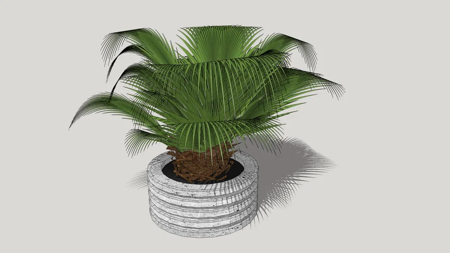 Palm Planter