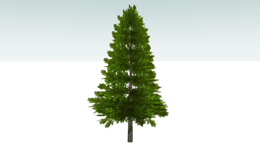 3D spruce tree (Low Poly: 416kb)