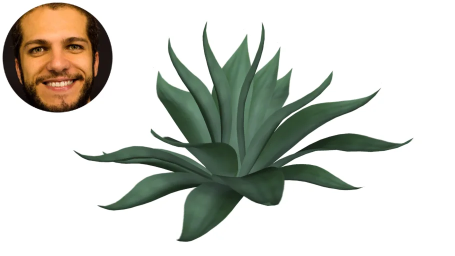Agave
