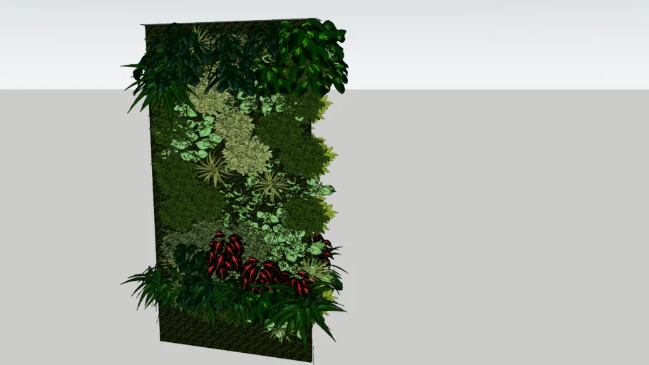 plant wall