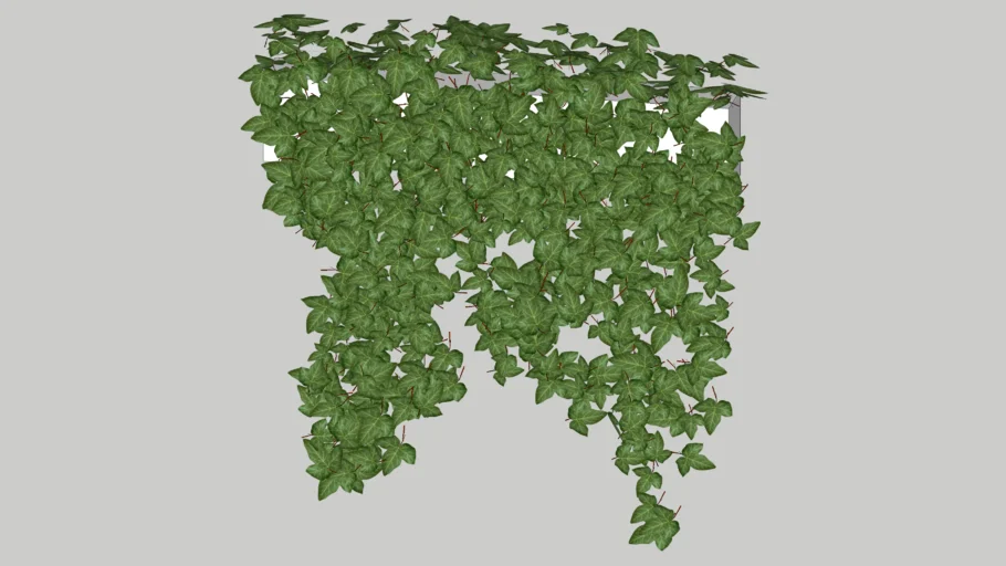 IVY PLANTER2
