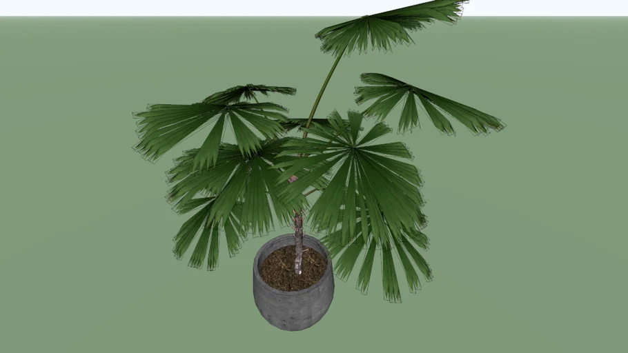 plant decor