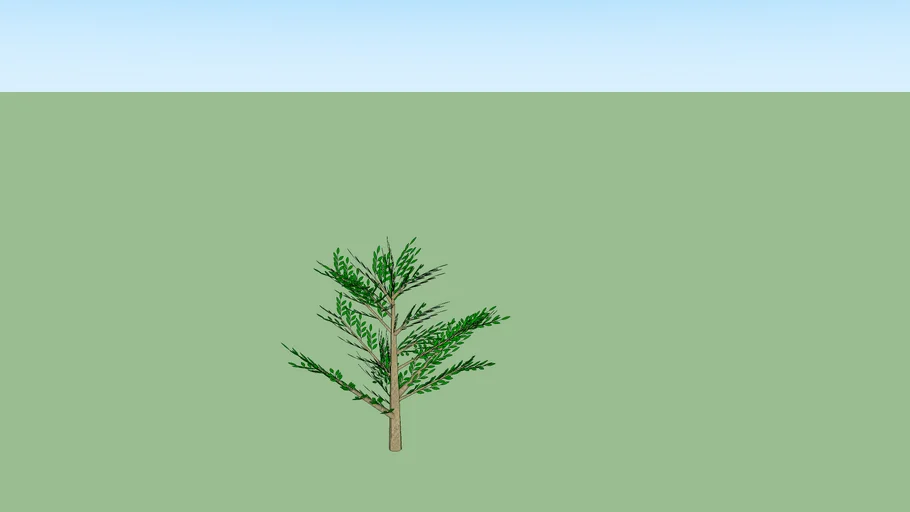 Tree 3 meter | 3D Warehouse