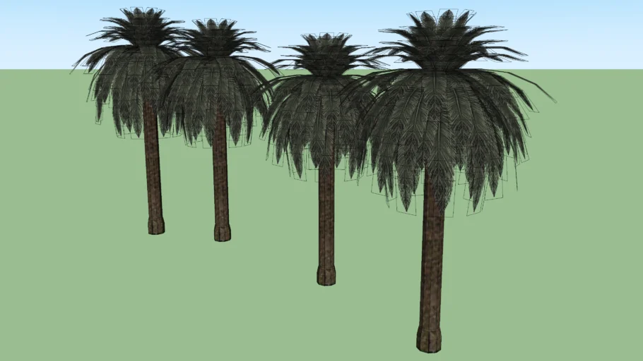 Palmeras