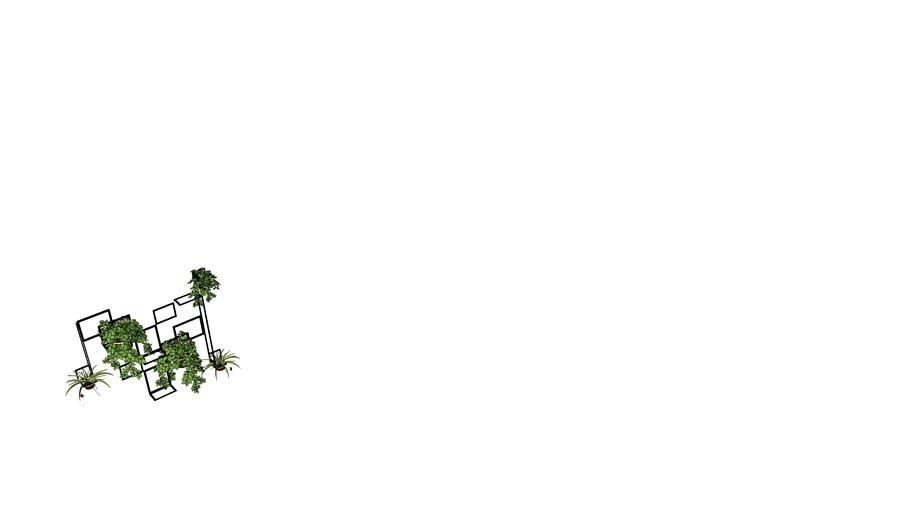 plants decoration wall