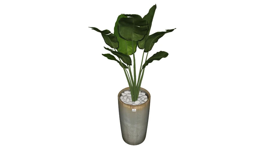 Vaso+Planta