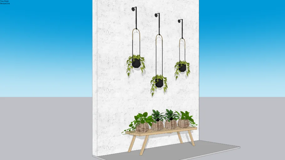 HANGING PLANTS