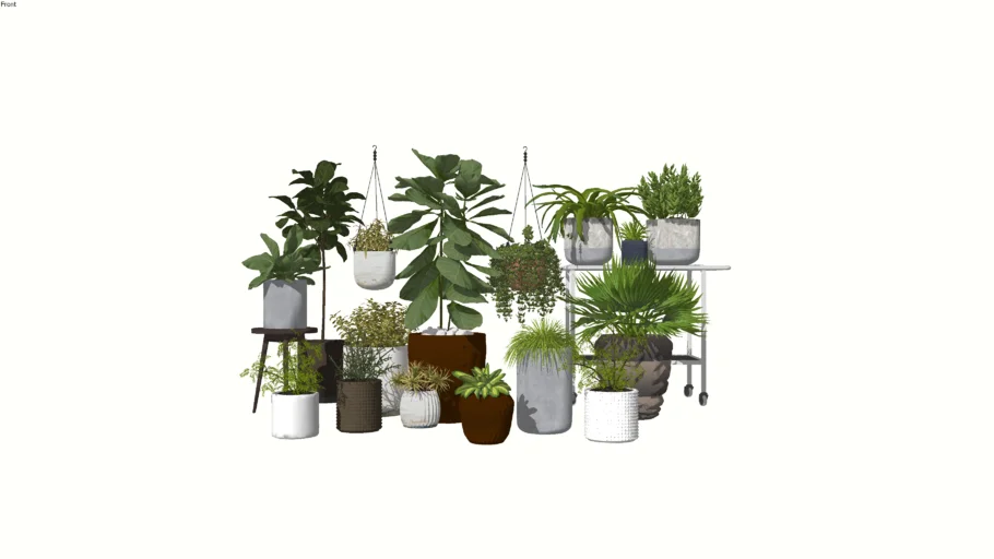 Potted Plants Collection 1