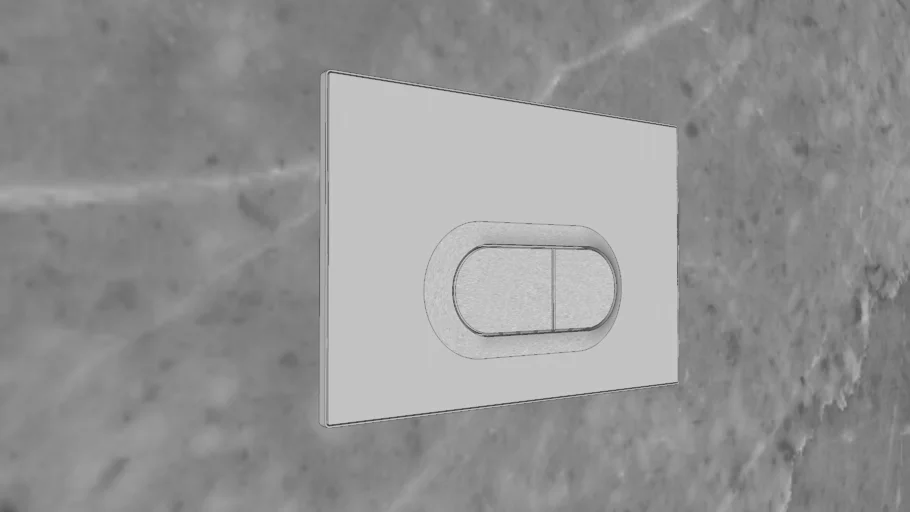 Toilet Flush Plate