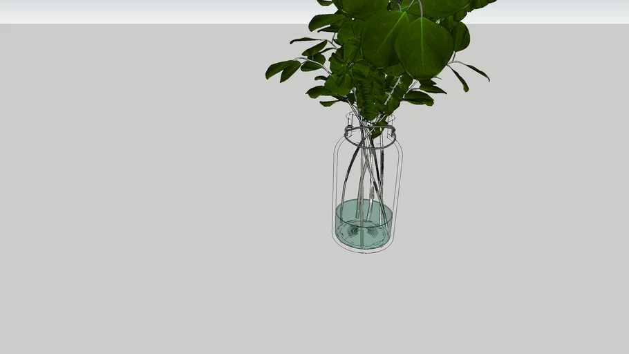 glazen vaas met groen