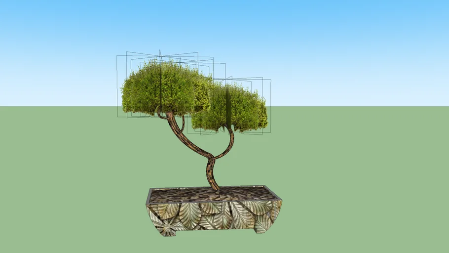 bonsai tree | 3D Warehouse
