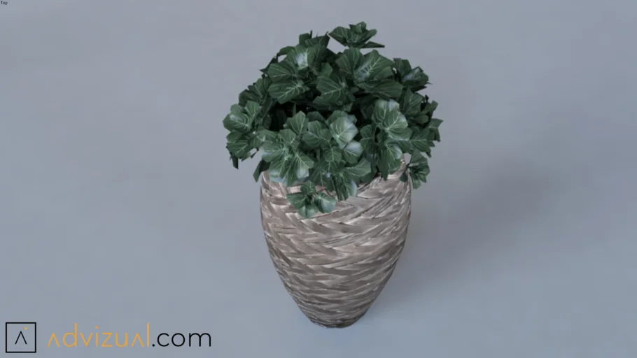 Plant (V-Ray Ready)