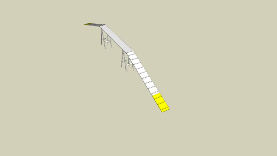 Agility Dog Walk