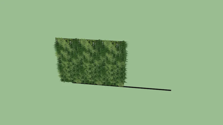 Green Wall
