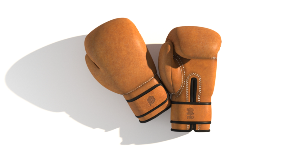 Paragon Studio Leather Boxing Gloves