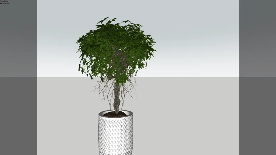 tree pot 
