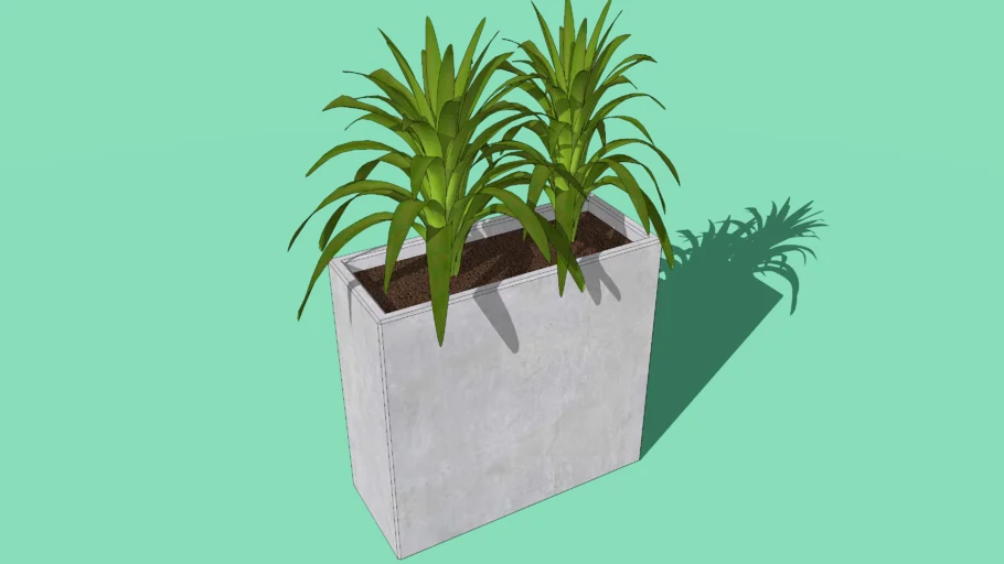 KUKO - Concrete Smooth flower Pot with SAGO Palm