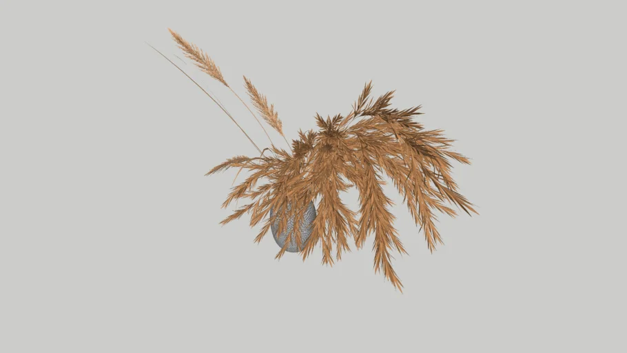 13284. Free Sketchup Pampas Grass Model Download