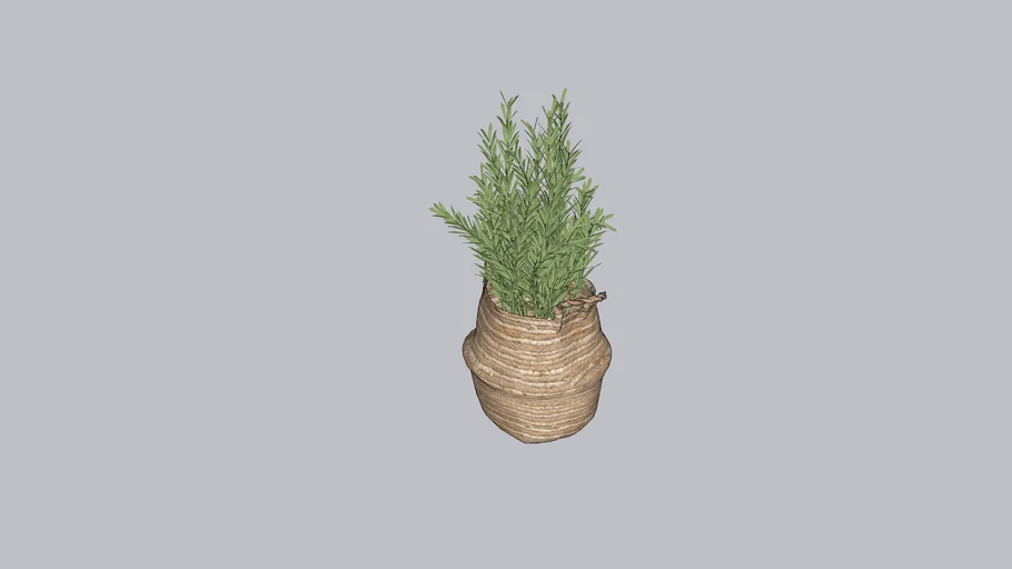 Cache Pot Sauge