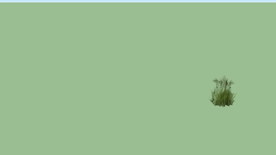 VINES (9).skp
