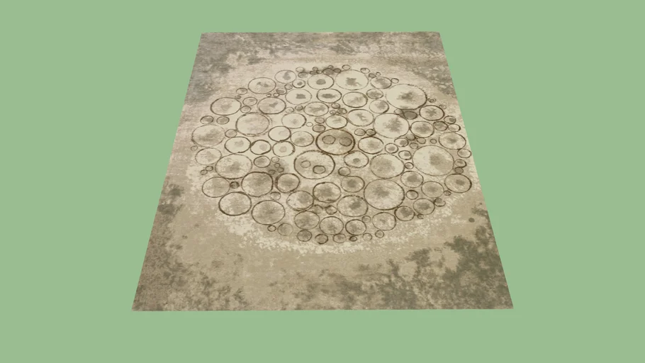 Fort Street Studio Circles in Sage