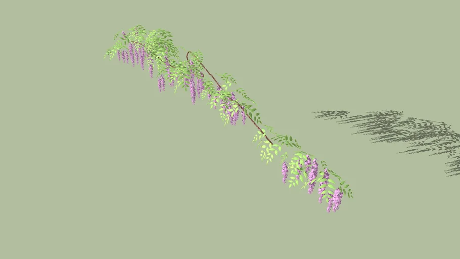glycine
