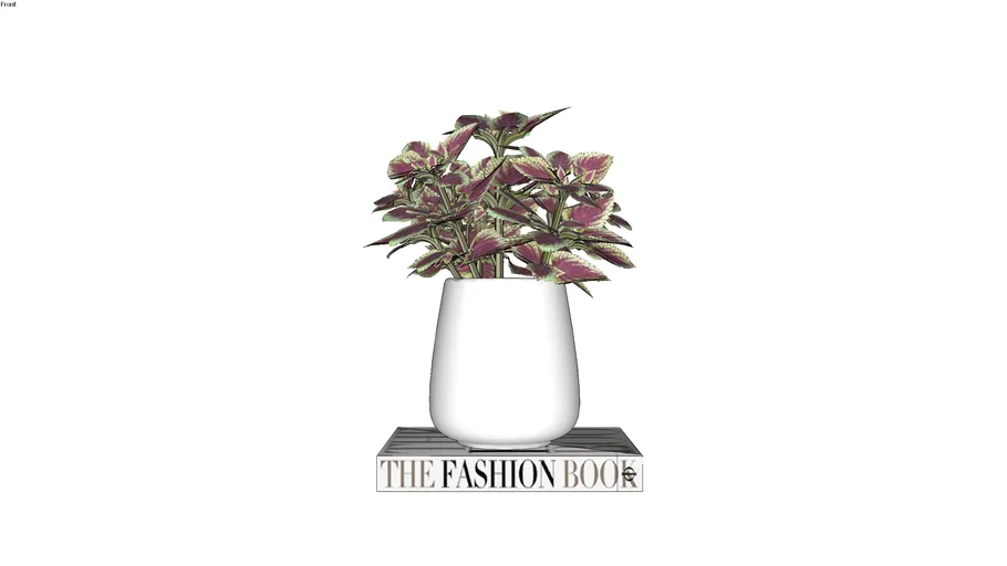 DECORAÇÃO | Vaso Planta e Livro Fashion