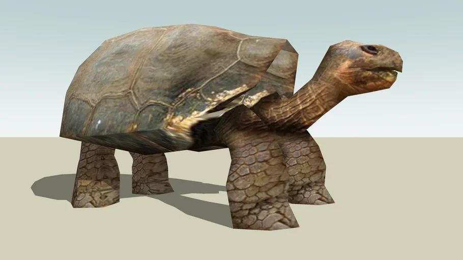 Galapagos Giant Tortoise Photo Textured