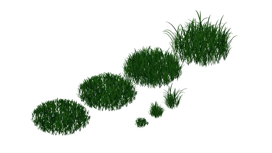 Paisagismo_Grama-preta (Ophiopogon japonicus)