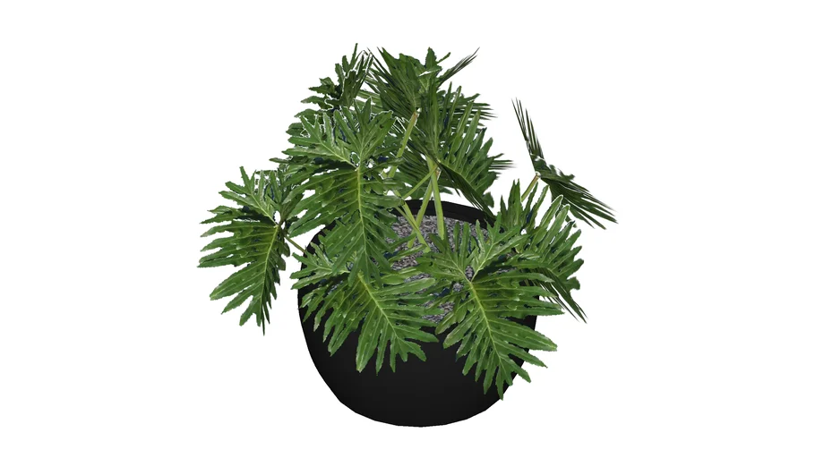 Plant Decor 03
