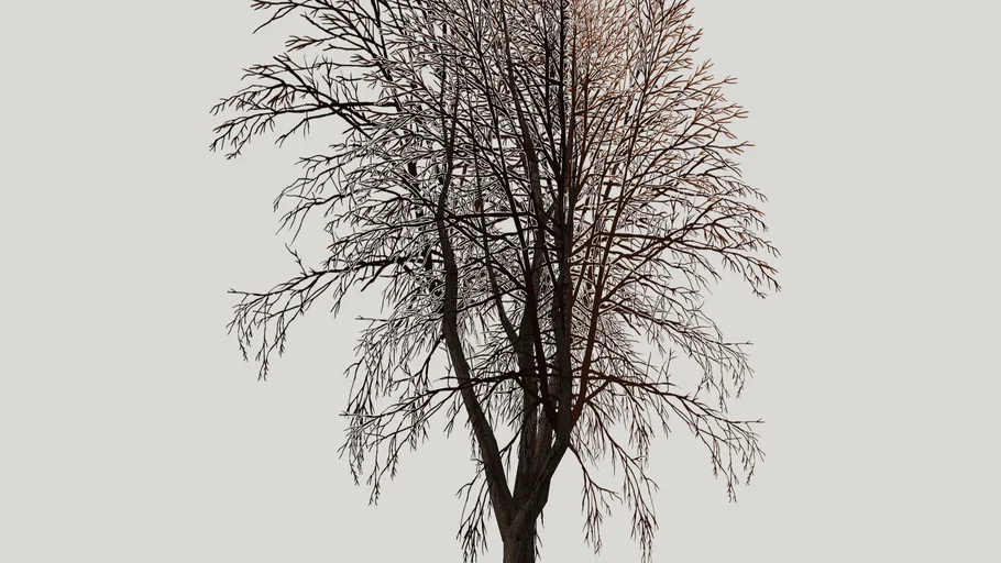 vmsb_arbol_3d.skp (256 kB)