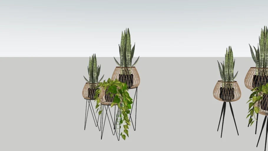 Plant Pot