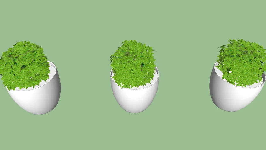 vasos com plantinhas