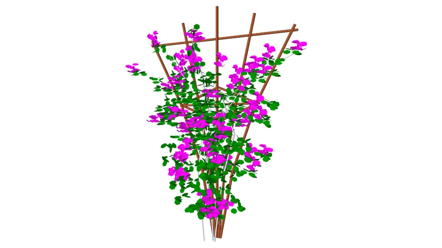 Bougainvillea high poly plant trellis