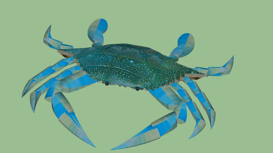 Maryland Blue Crab rev 1.1