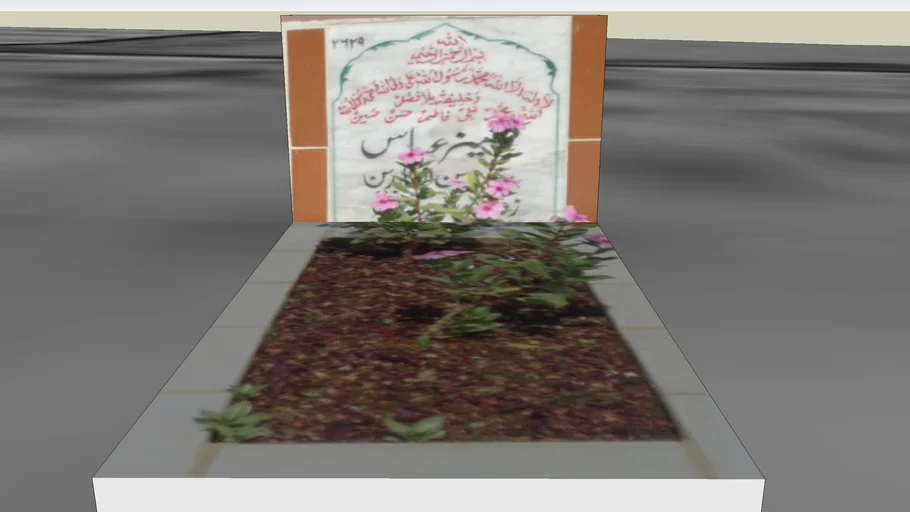 Grave # 2629 @ Wadi-e-Hussain(a.s) graveyard