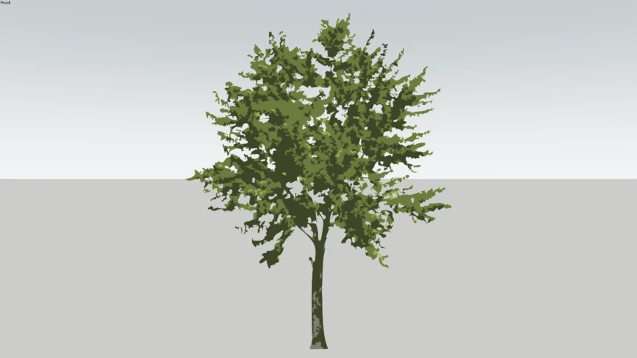 Arvore 3