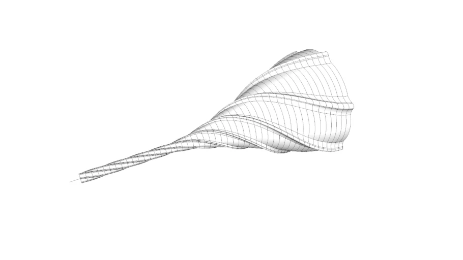 organic shape