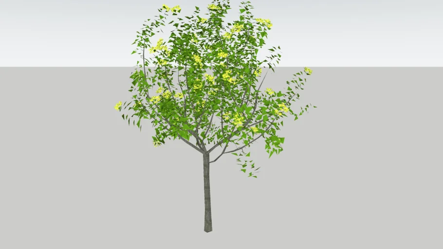 arbol 3d