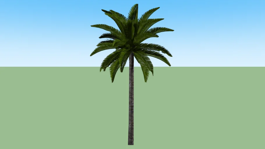 2d palmeira