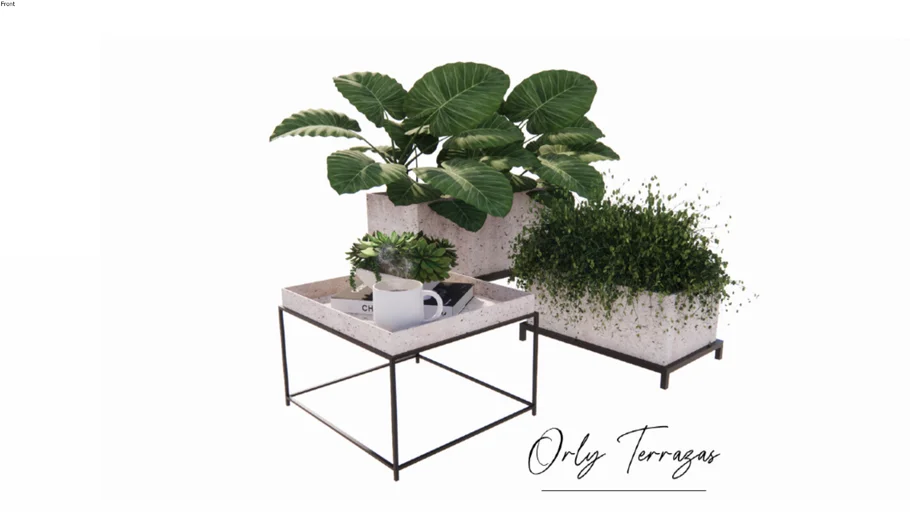 Macetas Pots Plantas Plants Pot de fleur Vaso plantas