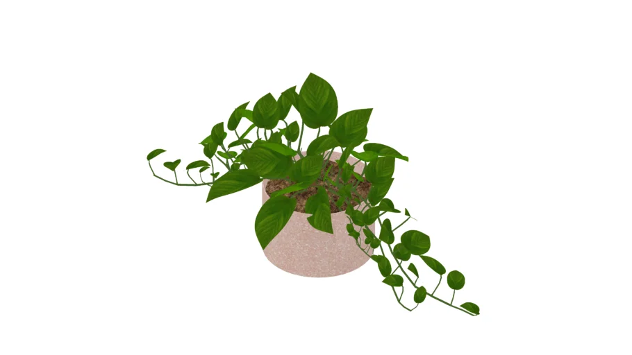 Vaso de planta - pendente