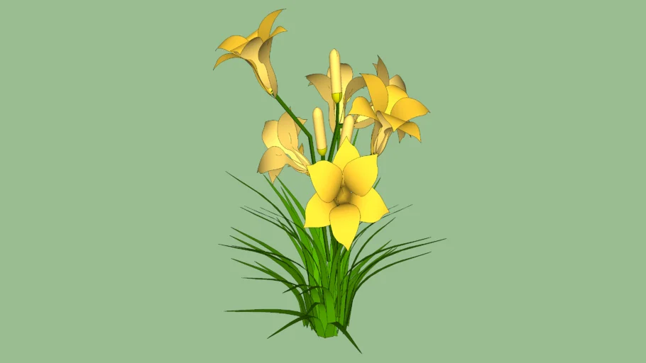 Yellow Daylily