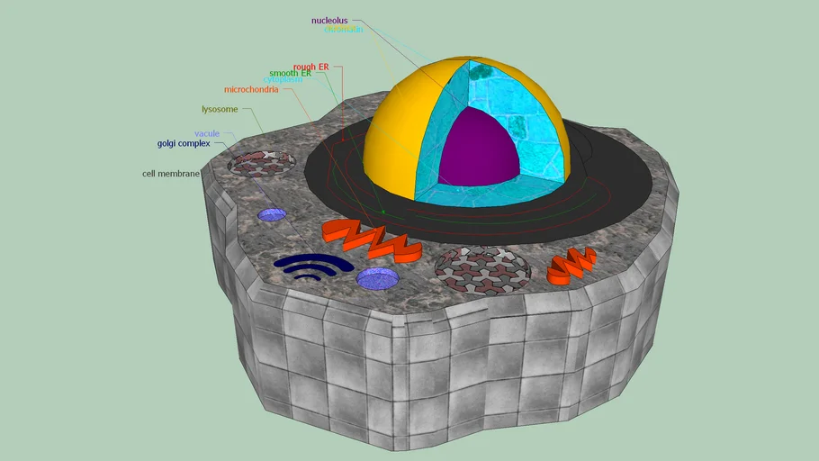 cell | 3D Warehouse